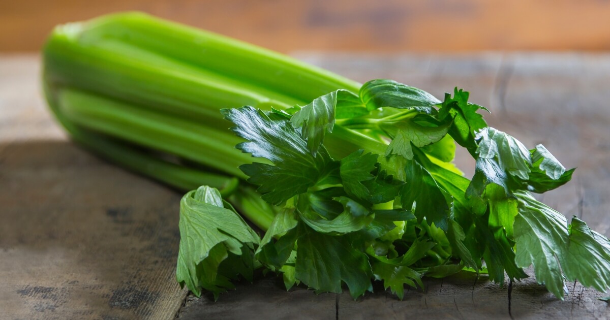 what does celery taste like
