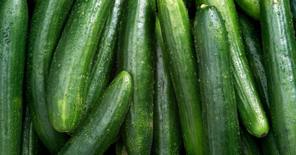 what does cucumber look like