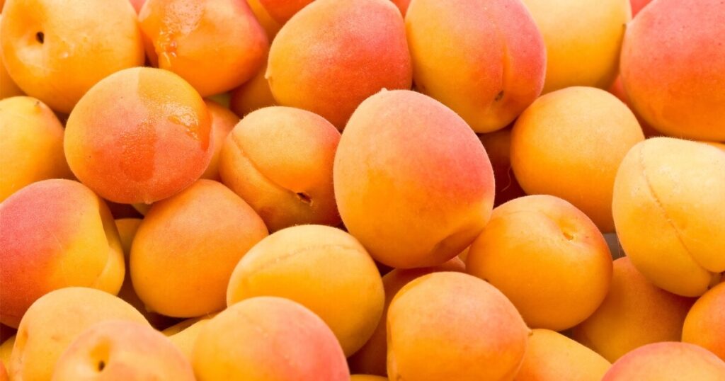 apricots at market