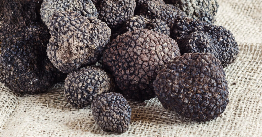 expensive black truffles