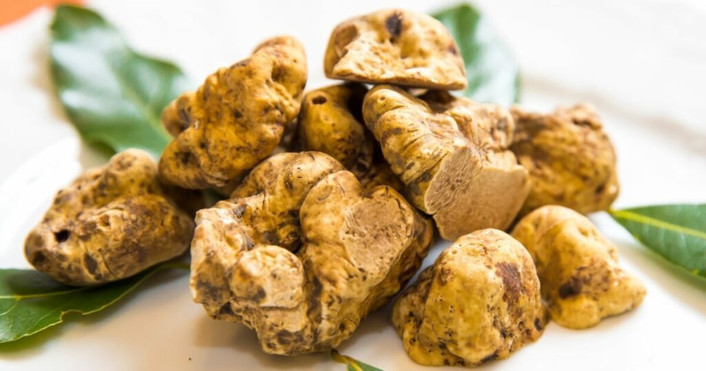 italian white truffles