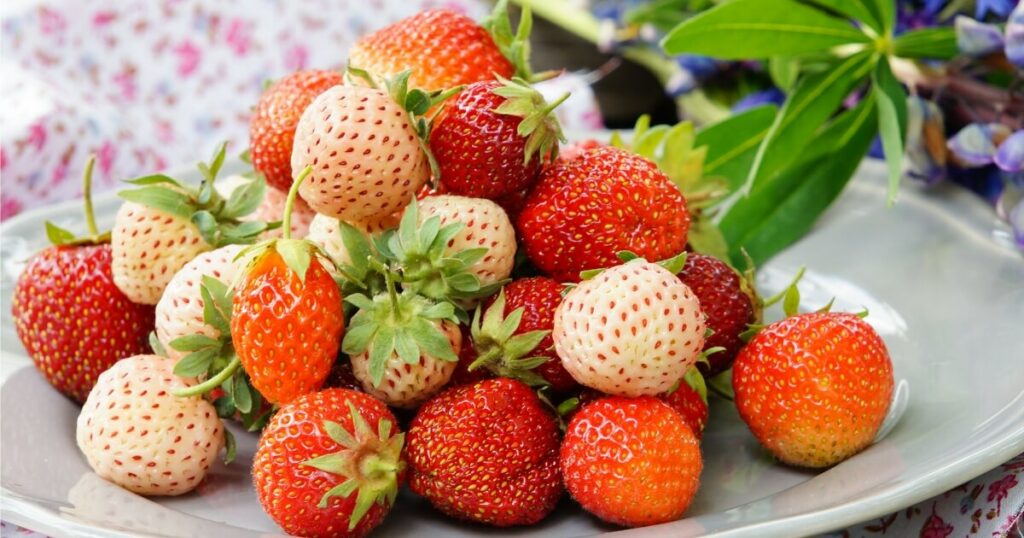 red and white strawberries