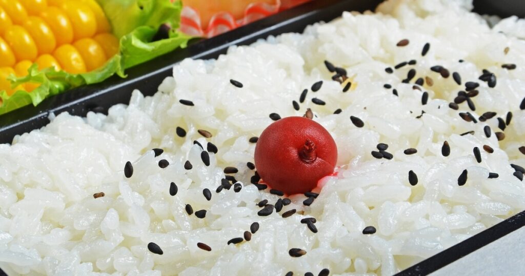 umeboshi japanese lunch box bento