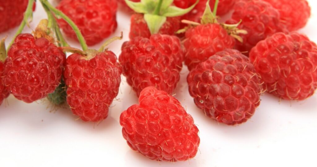 what a raspberry looks like