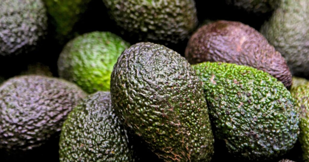 what avocados look like grocery store