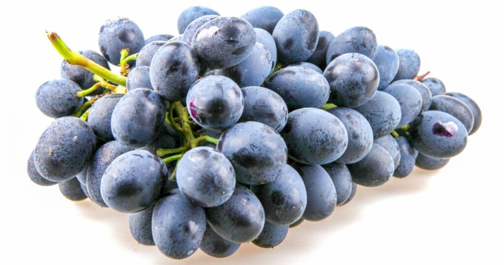 what black grapes look like