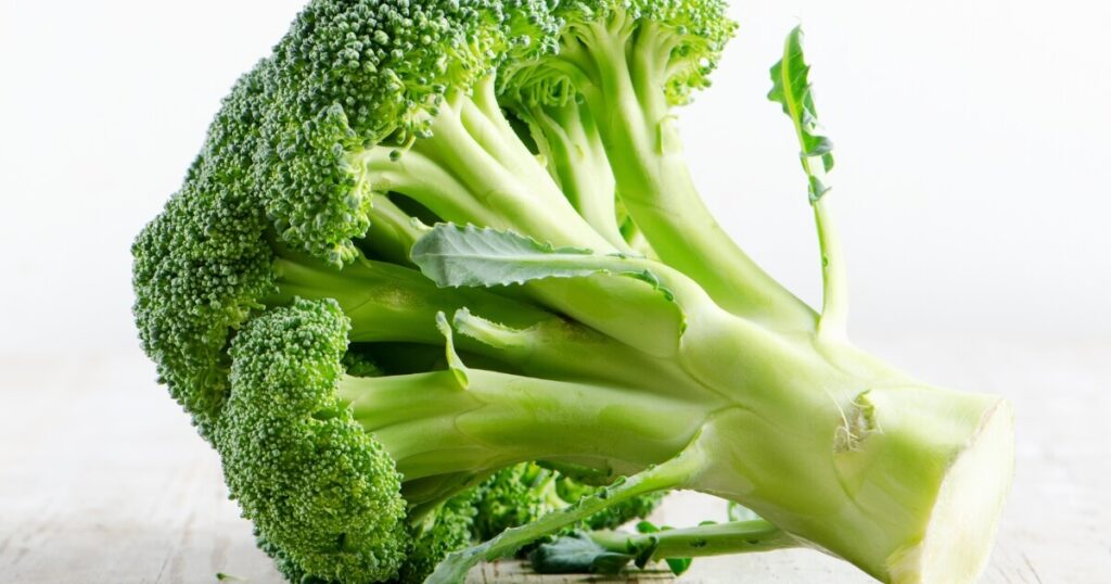 what broccoli looks like