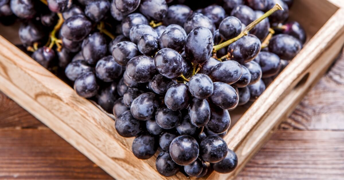 What Do Black Grapes Taste Like