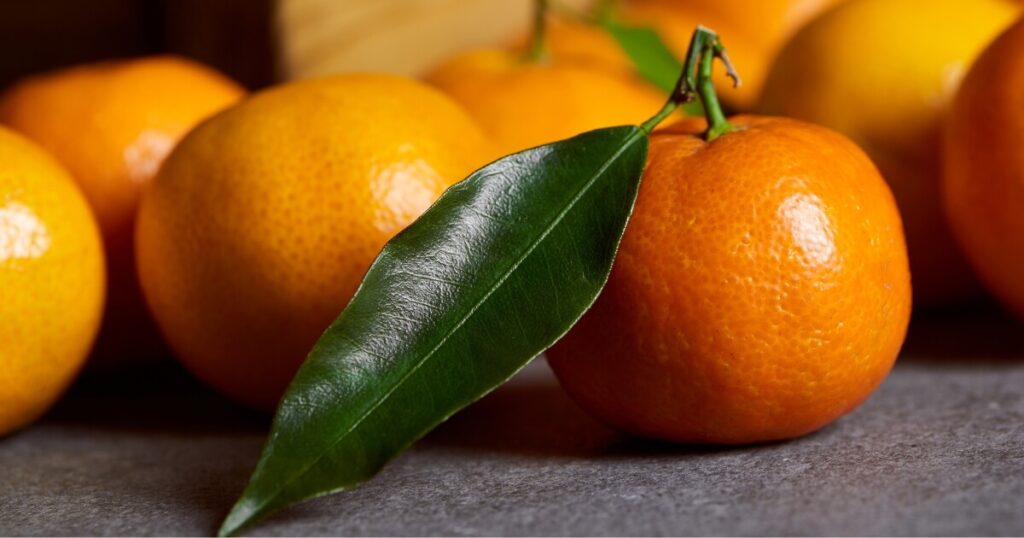 what do clementines look like