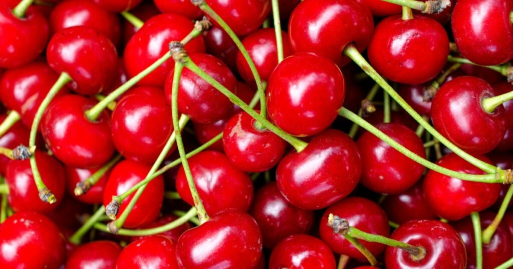 what do fresh cherries look like