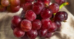 What Do Gum Drop Grapes Taste Like