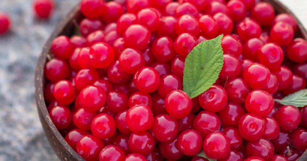 what do nanking cherries taste like