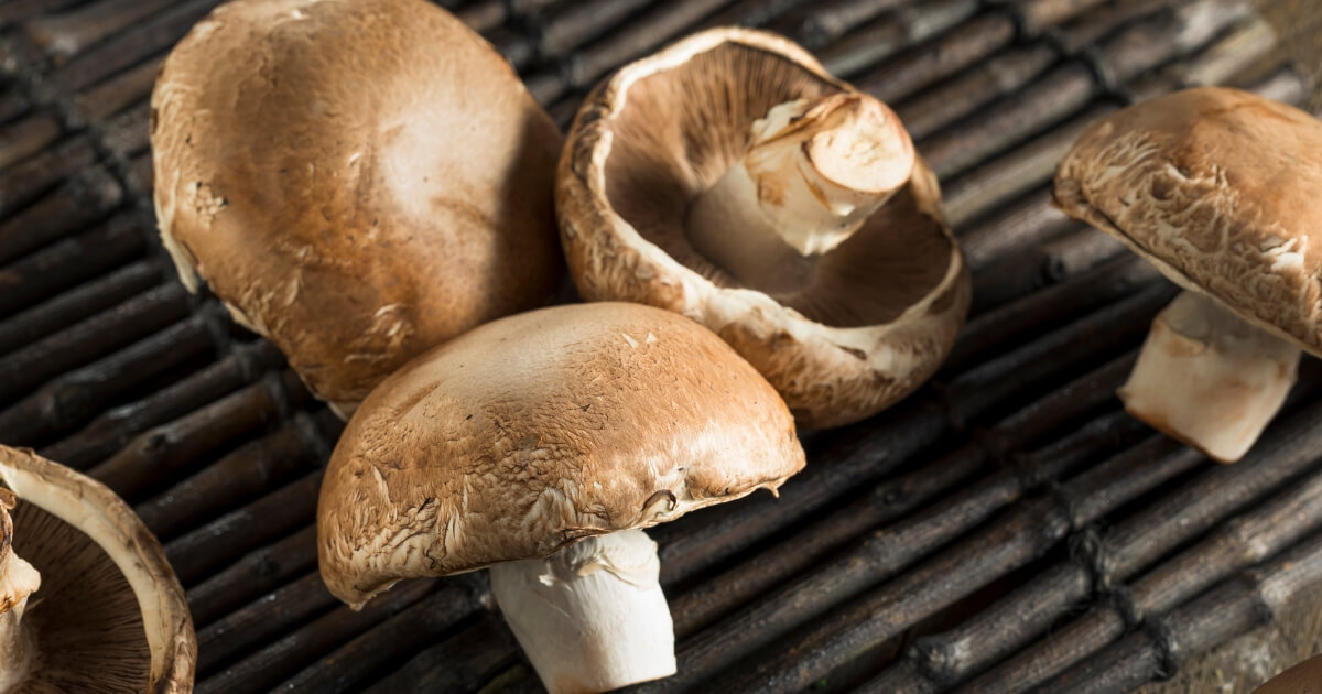 What Do Portabella Mushrooms Taste Like