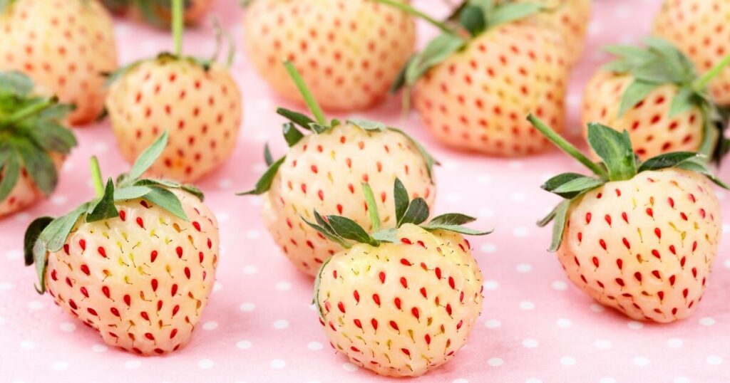 What Do White Strawberries Taste Like