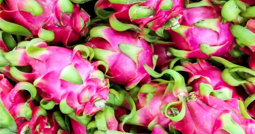 what does dragon fruit look-like grocery store 