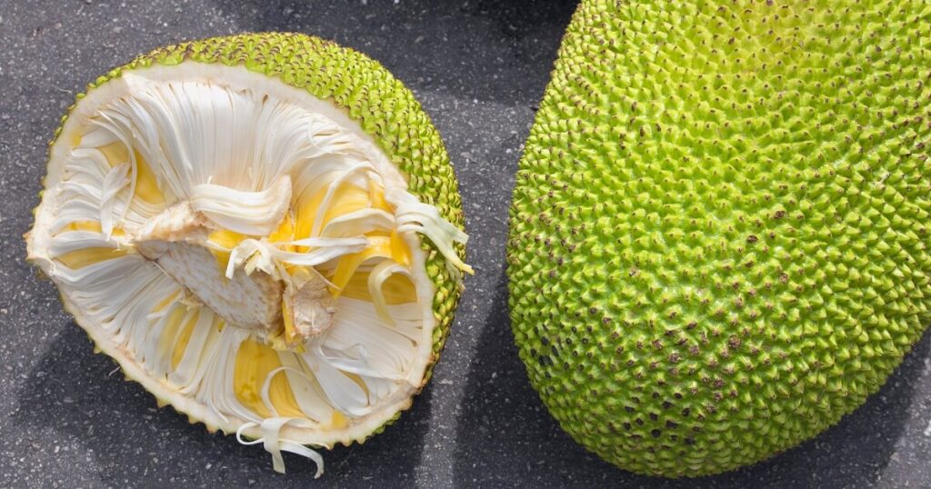 what does jackfruit look like