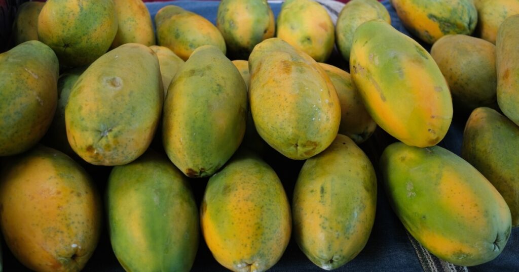 what does papaya look like at grocery store