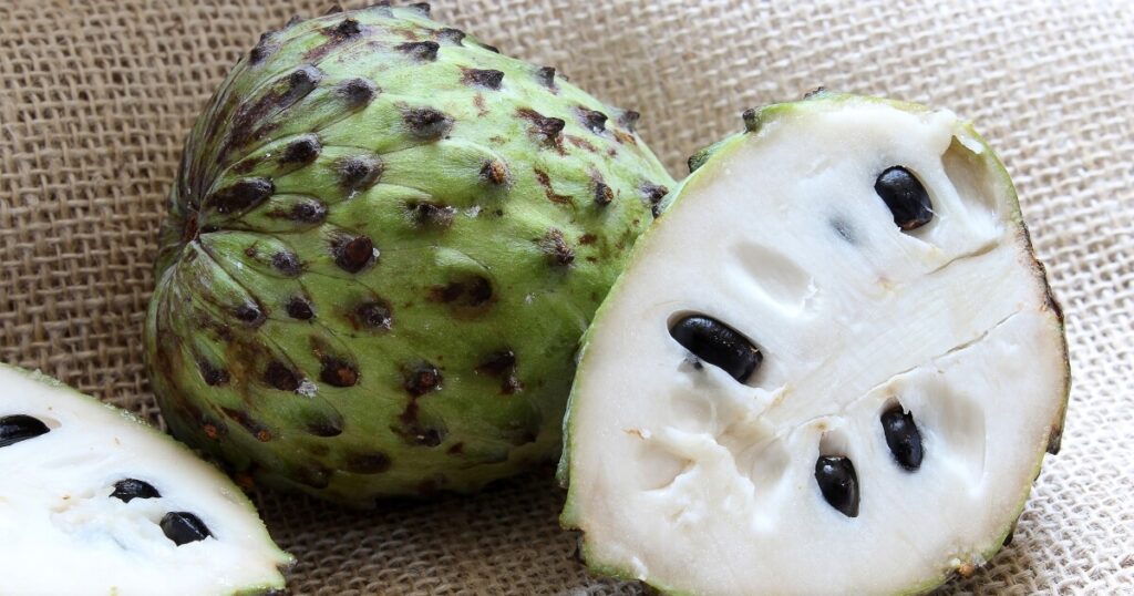 what does soursop look like