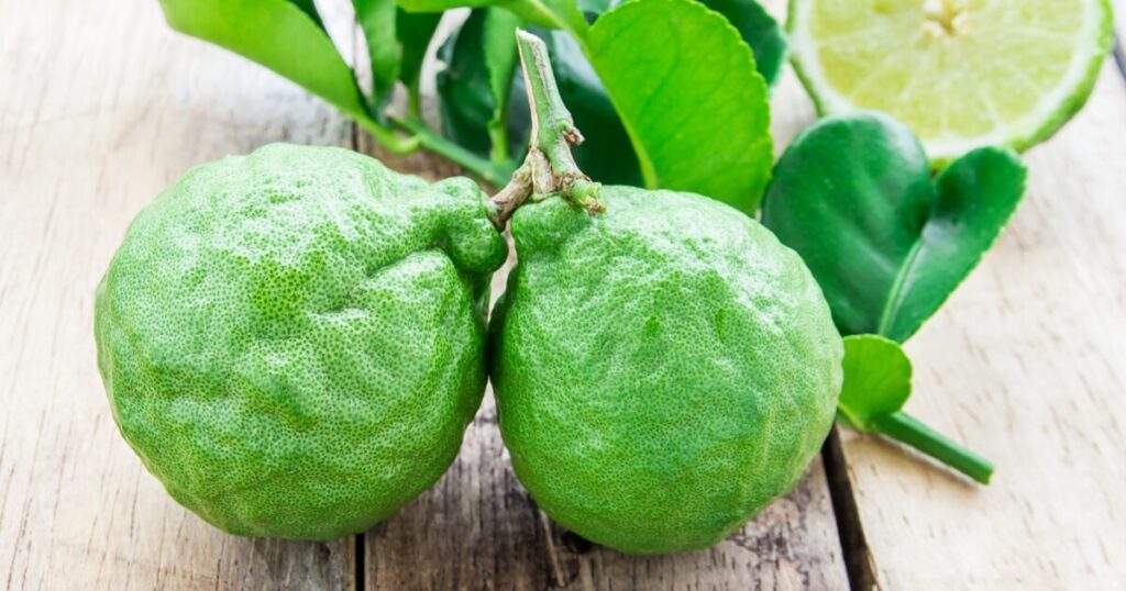what kaffir limes look like