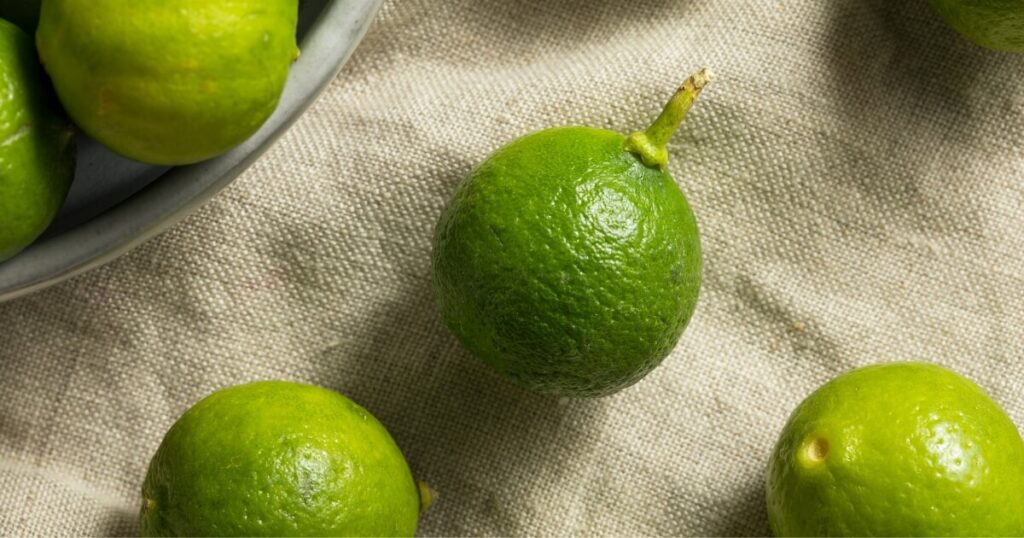 what key limes look like