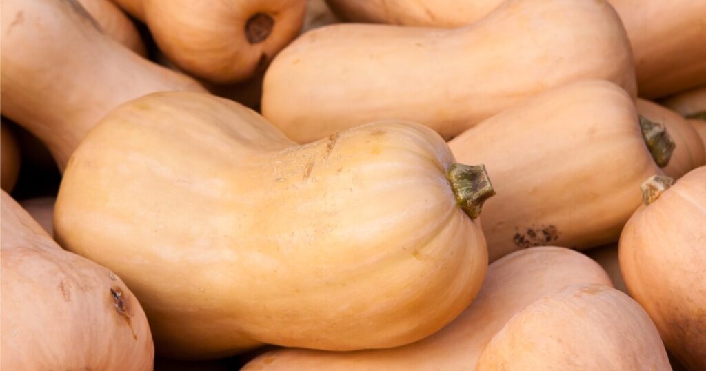 what whole butternut squash looks like
