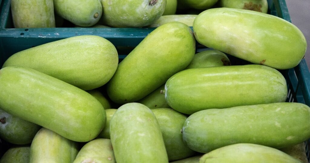winter melon at grocery store