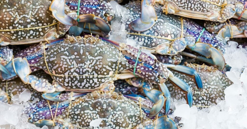 blue crabs for sale market
