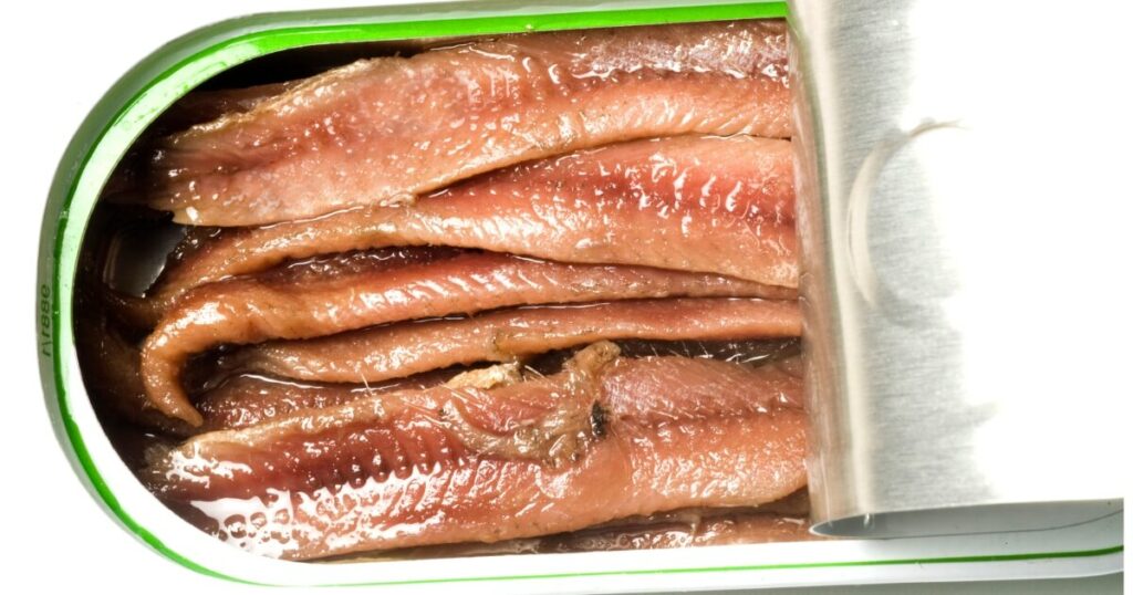 canned anchovy fillets in oil