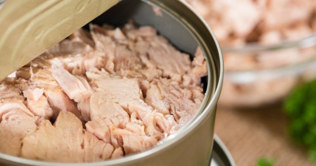 canned tuna in can