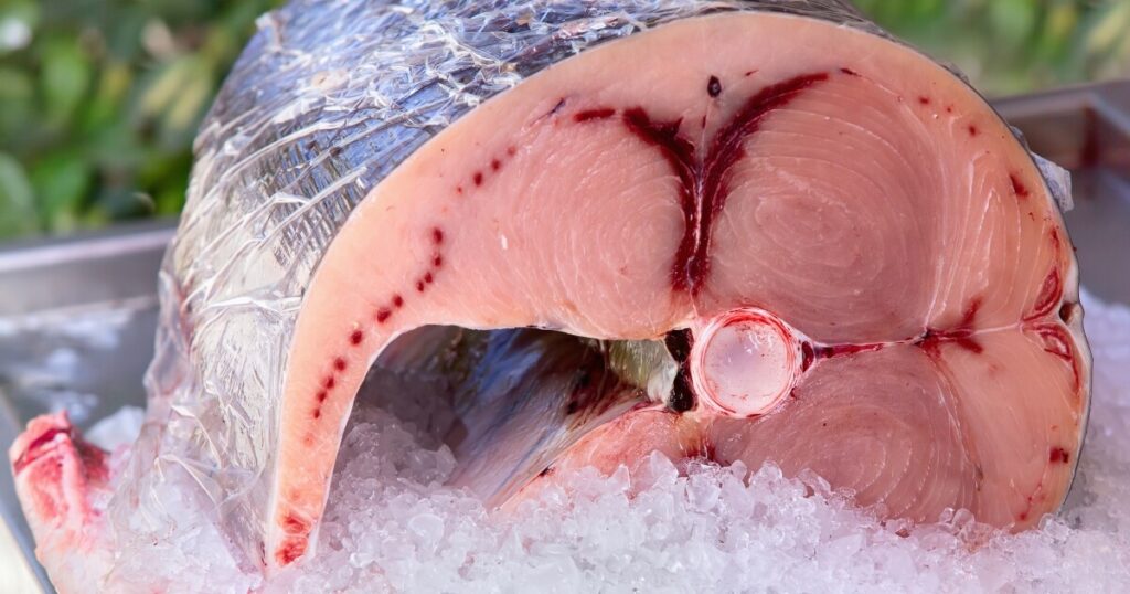 cut section of fresh swordfish
