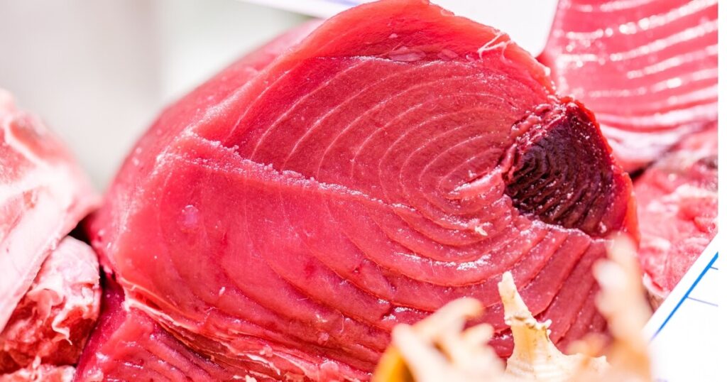 fresh raw tuna chunk