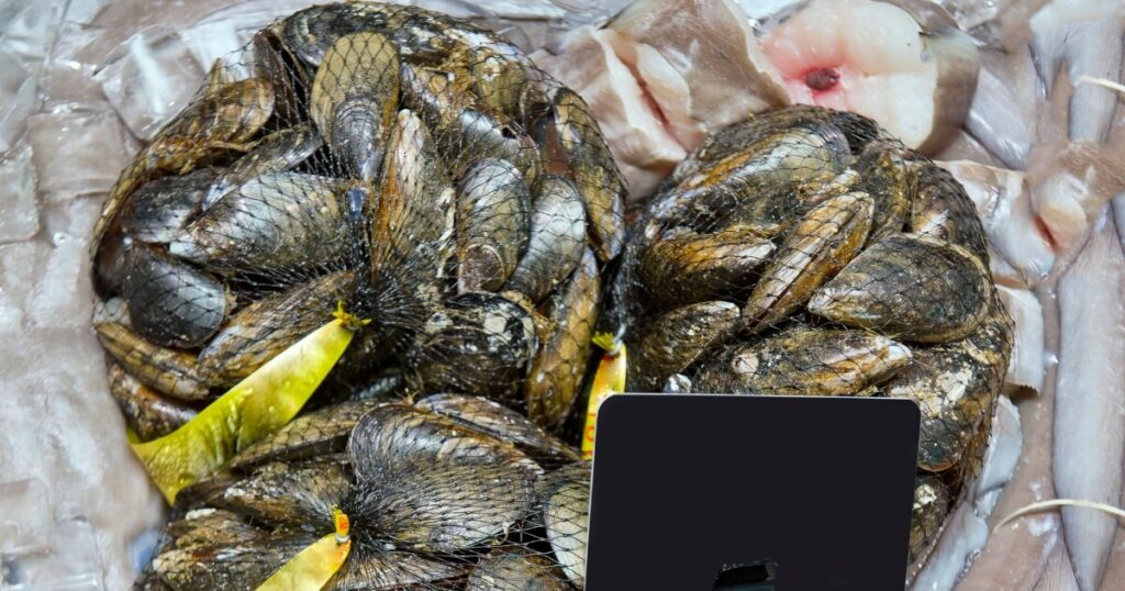 mussels mesh bag market