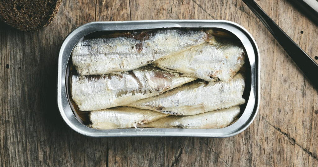 packed sardines in can