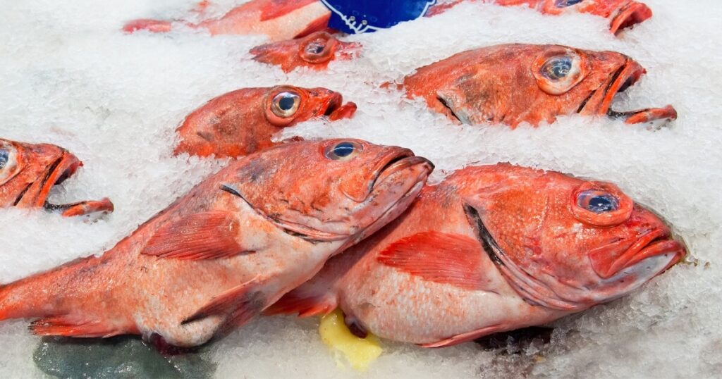 red snapper on ice market