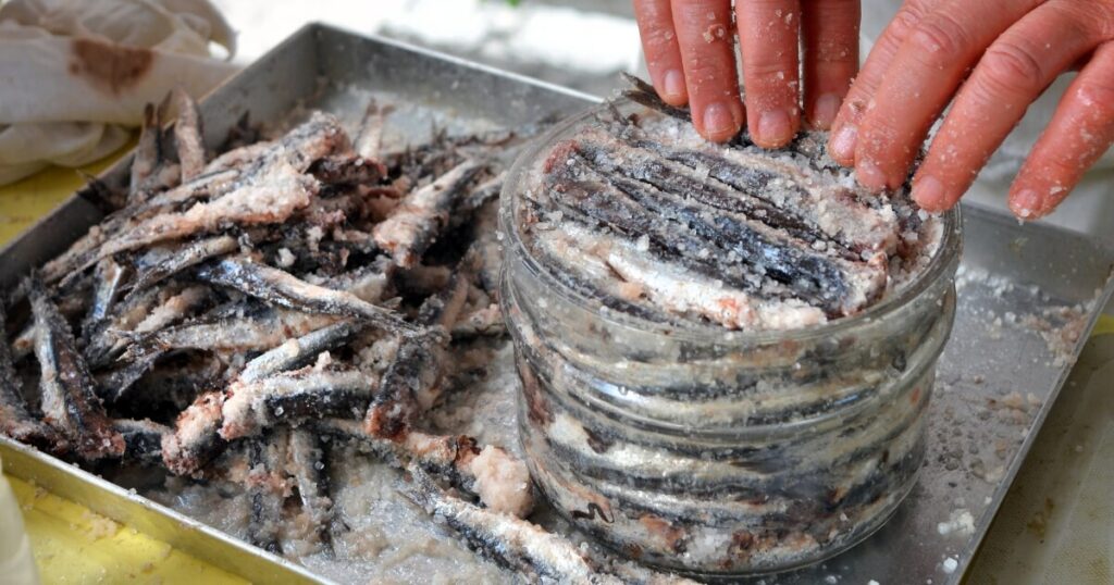 salt packed anchovies market