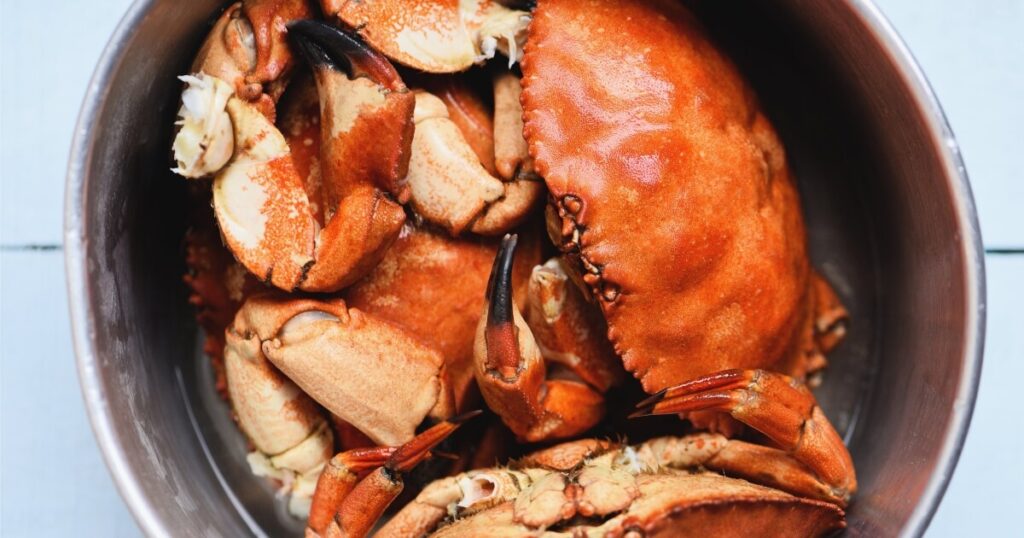 stone crabs cooking in pot