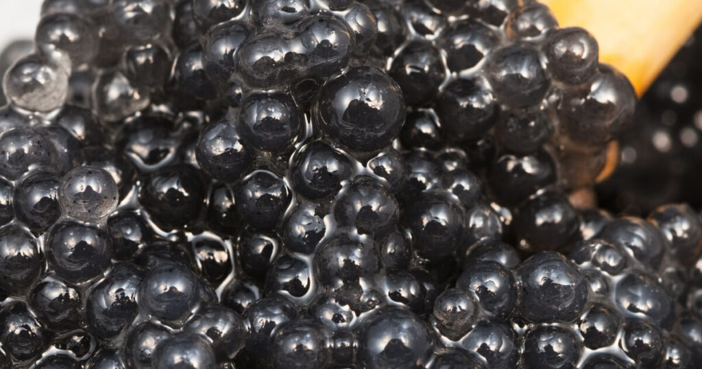 what black caviar looks like