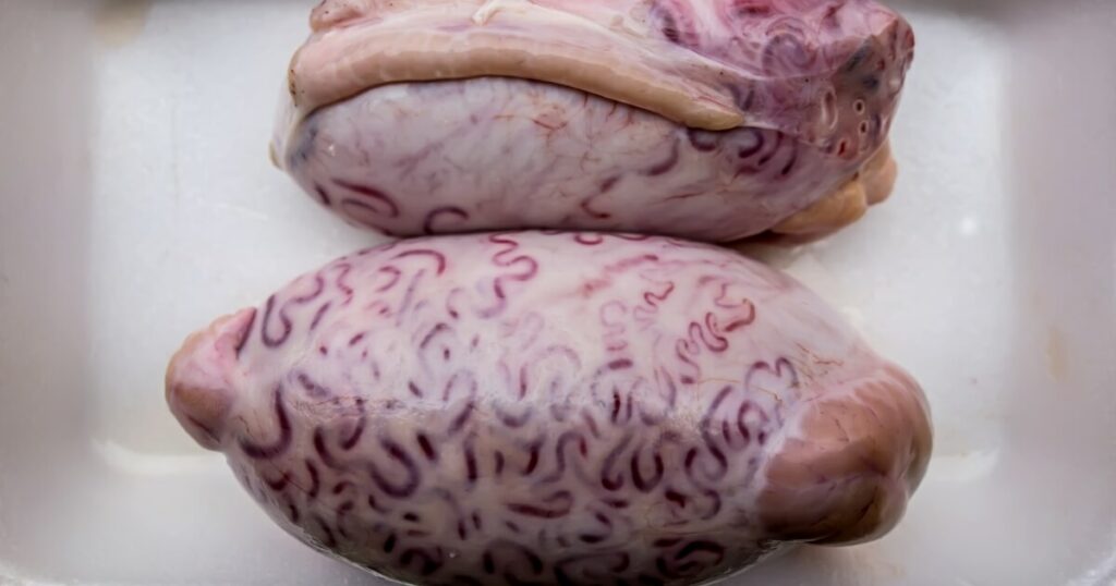 what do bull testicles look like raw