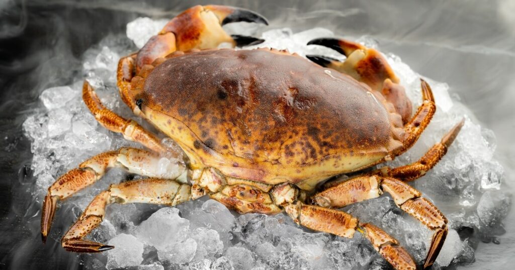 what do stone crabs look like