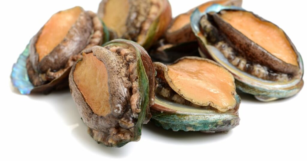 what does abalone look like