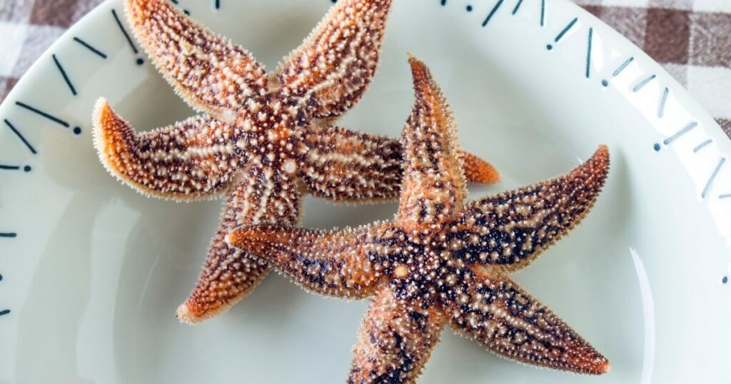 What Does Starfish Taste Like