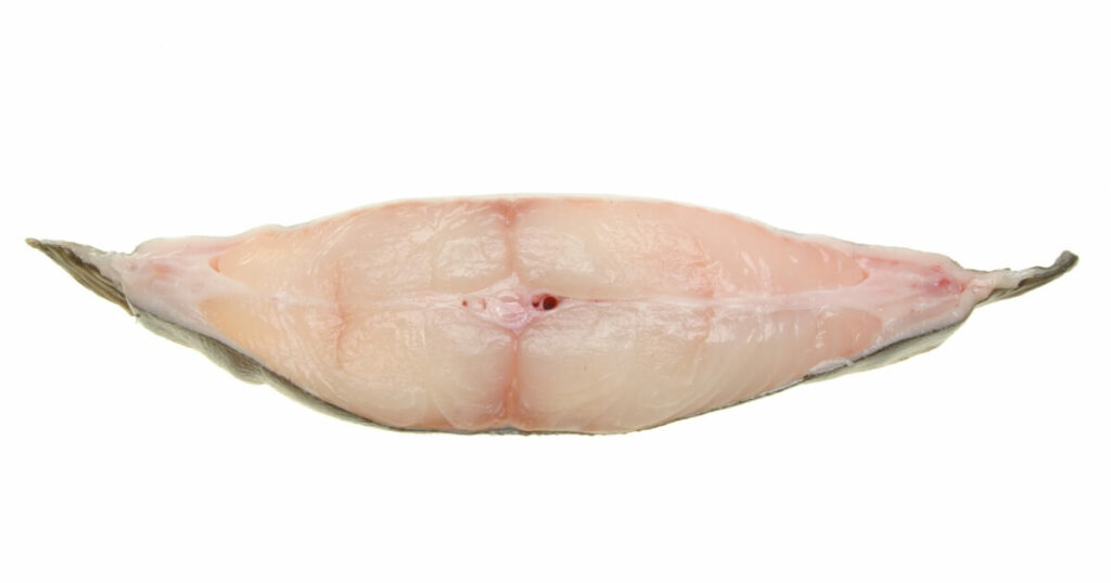 what halibut meat looks like