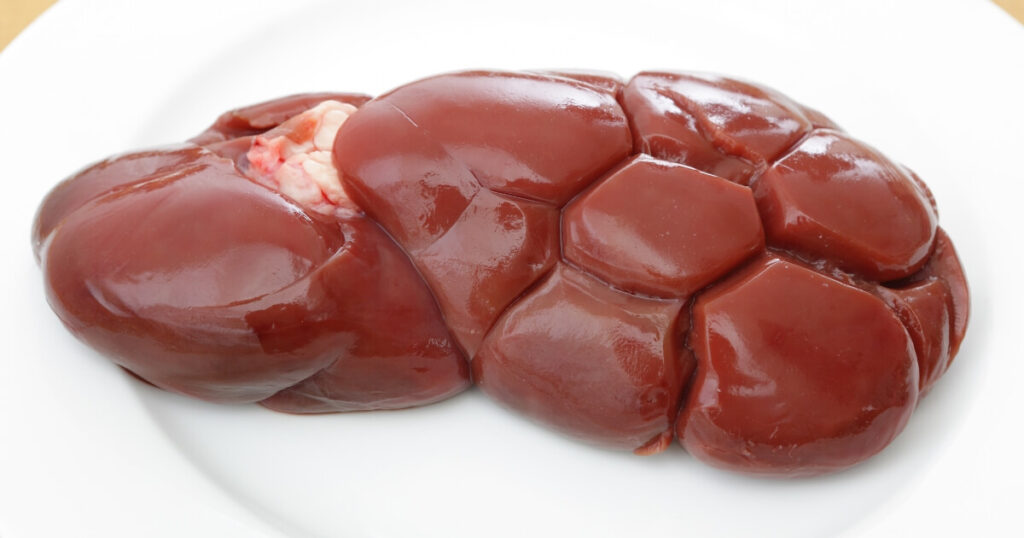 what raw kidneys look like