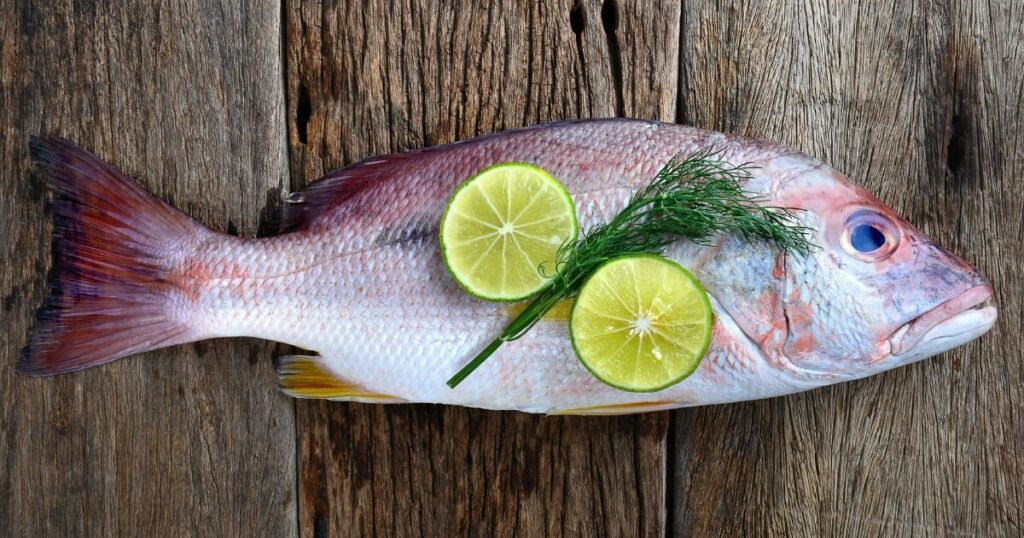 fresh whole red snapper