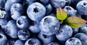 substitutes for blueberries